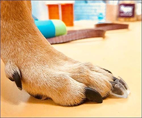 Dr. McHenrys Dog Toe Treads - Senior Dogs Mobility Support - Instant Traction for More Action - Reduce Slipping & Struggling, Pain & Inflammation Increase Traction & Mobility for Your Dog…