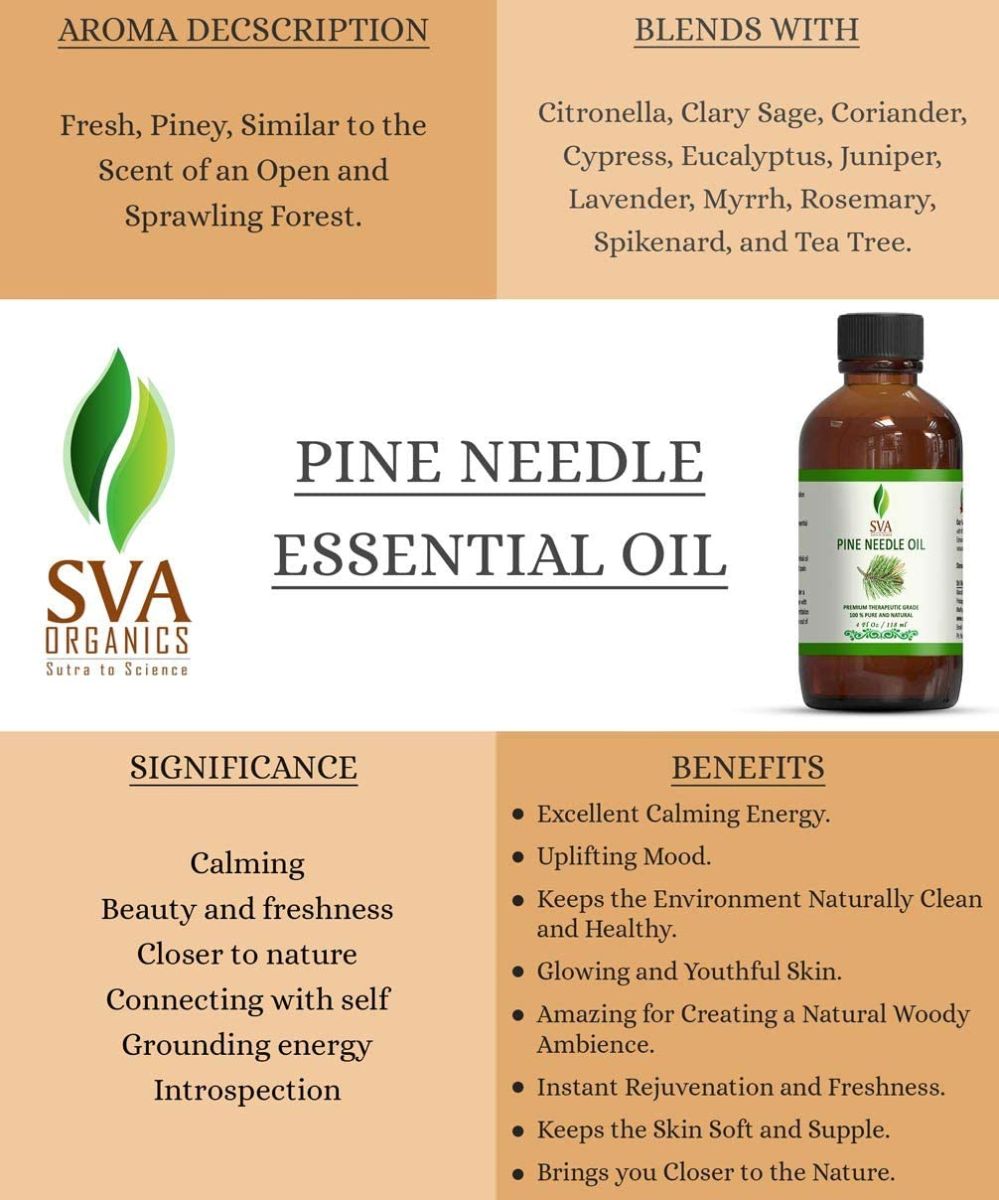 Pine Needle Essential Oil Large Size 4 OZ (118 ML) Therapeutic Grade, 100% Pure Premium Grade Oil for Skin and Hair Care