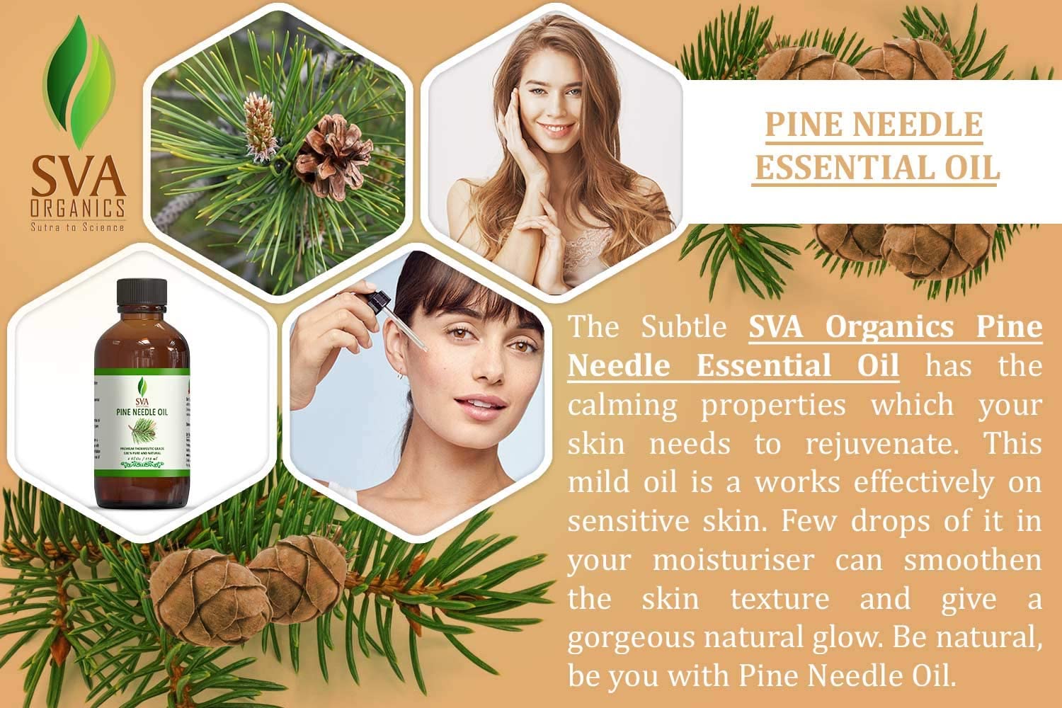 Pine Needle Essential Oil Large Size 4 OZ (118 ML) Therapeutic Grade, 100% Pure Premium Grade Oil for Skin and Hair Care